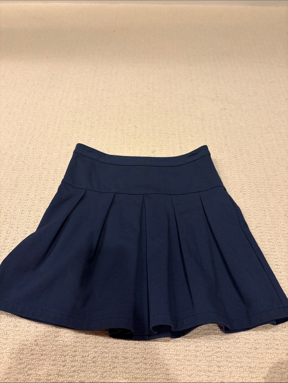 GAP Navy Pleated Flare Skirt